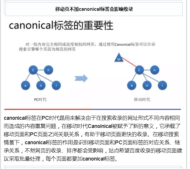 canonical标签的重要性